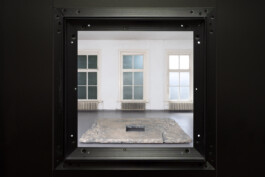  Burial of the Primitive Double: Wim Hof Doing the Splits (2025) Ötza / Levi van Gelder