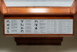  Ötza, Offshore (2025) - Levi van Gelder