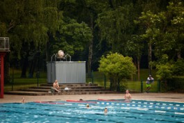 The Physical Impersonation of Fraud in the Mind of Someone ASMR Roleplaying (1991), Levi van Gelder