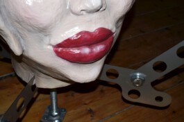 The Physical Impersonation of Fraud in the Mind of Someone ASMR Roleplaying (1991), Levi van Gelder, 2024